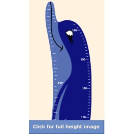 Dolly the Dolphin Height Chart