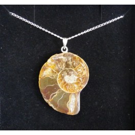 Madagascan Ammonite pendant on Sterling Silver Necklace - 1